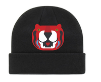 Global Soccer Academy Beanie