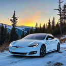 Tesla Model-Snow Drift Phone Case
